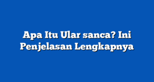 Apa Itu Ular sanca? Ini Penjelasan Lengkapnya