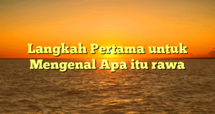 Langkah Pertama untuk Mengenal Apa itu rawa