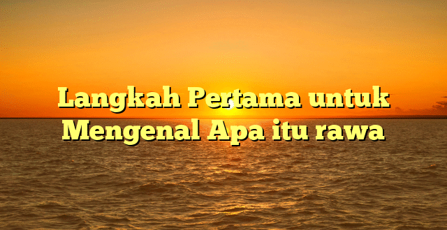 Langkah Pertama untuk Mengenal Apa itu rawa