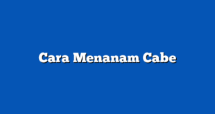 Cara Menanam Cabe