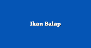 Ikan Balap