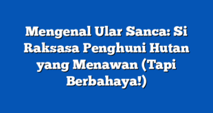 Mengenal Ular Sanca: Si Raksasa Penghuni Hutan yang Menawan (Tapi Berbahaya!)