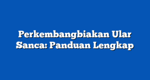 Perkembangbiakan Ular Sanca: Panduan Lengkap