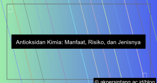 Antioksidan Kimia