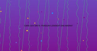 Cara Cek Sinta Panduan Lengkap