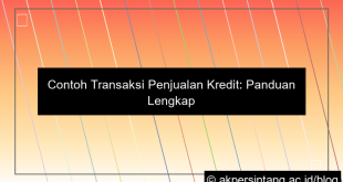 contoh transaksi penjualan kredit