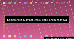 Karbon Aktif