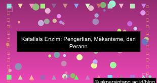 Katalisis Enzim