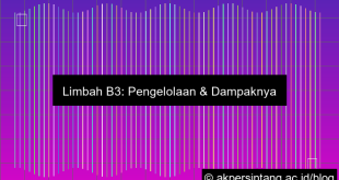Limbah B3