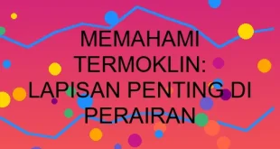 Memahami Termoklin Lapisan Penting Di