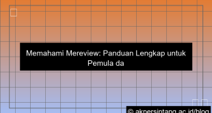 ilustrasi mereview adalah