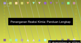 Penanganan Reaksi Kimia