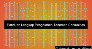 Pengolahan Tanaman