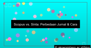 gambar perbedaan jurnal sinta dan scopus