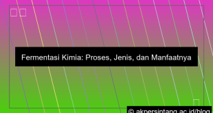 Proses Fermentasi Kimia
