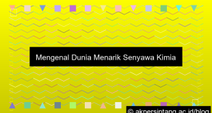 Senyawa Kimia
