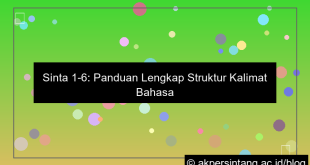 sinta 16