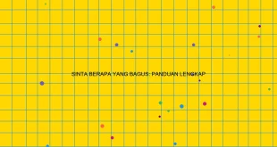 Sinta Berapa Yang Bagus Panduan