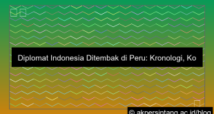 desain Diplomat Indonesia Ditembak di Peru