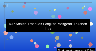 desain iop adalah