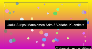 ilustrasi judul skripsi manajemen sdm 3 variabel kuantitatif