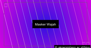 visual Masker Wajah
