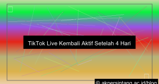 visual TikTok Live Kembali Aktif setelah 4 Hari Nonaktif