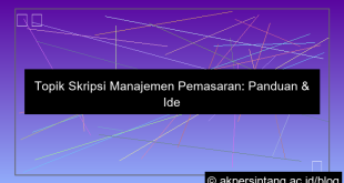 visual topik skripsi manajemen pemasaran