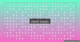 Afektif Adalah