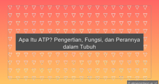 Atp Adalah