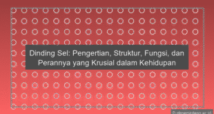 Dinding Sel