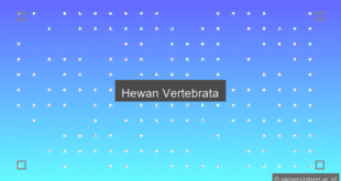Hewan Vertebrata
