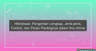 Hibridisasi