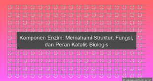 Komponen Enzim