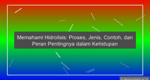 Hidrolisis