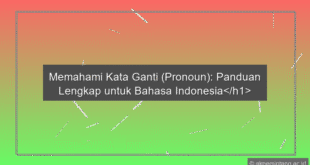 Pronoun