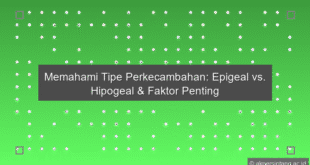 Tipe Perkecambahan
