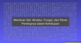 Membran Sel