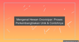 Hewan Ovovivipar