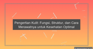 Pengertian Kulit