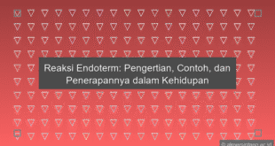 Reaksi Endoterm