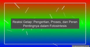 Reaksi Gelap