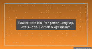 Reaksi Hidrolisis