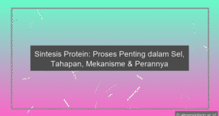 Sintesis Protein