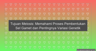 Tujuan Meiosis