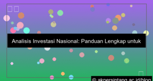 Analisis Investasi Nasional