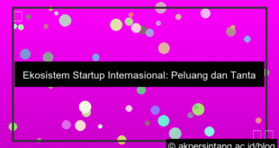 Ekosistem Startup Internasional