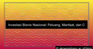 visual Investasi Bisnis Nasional