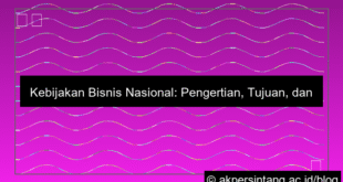 visual Kebijakan Bisnis Nasional