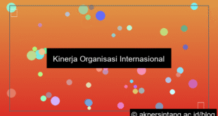Kinerja Organisasi Internasional